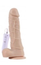 Large 7", 6 speed, corded remote, dildo